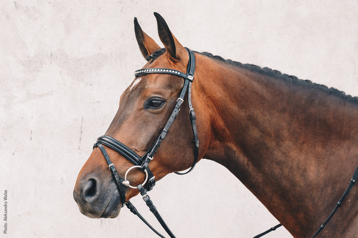 Schockemohle Berlin Snaffle Bridle - Snaffle Bridle - Kingdom Equestrian