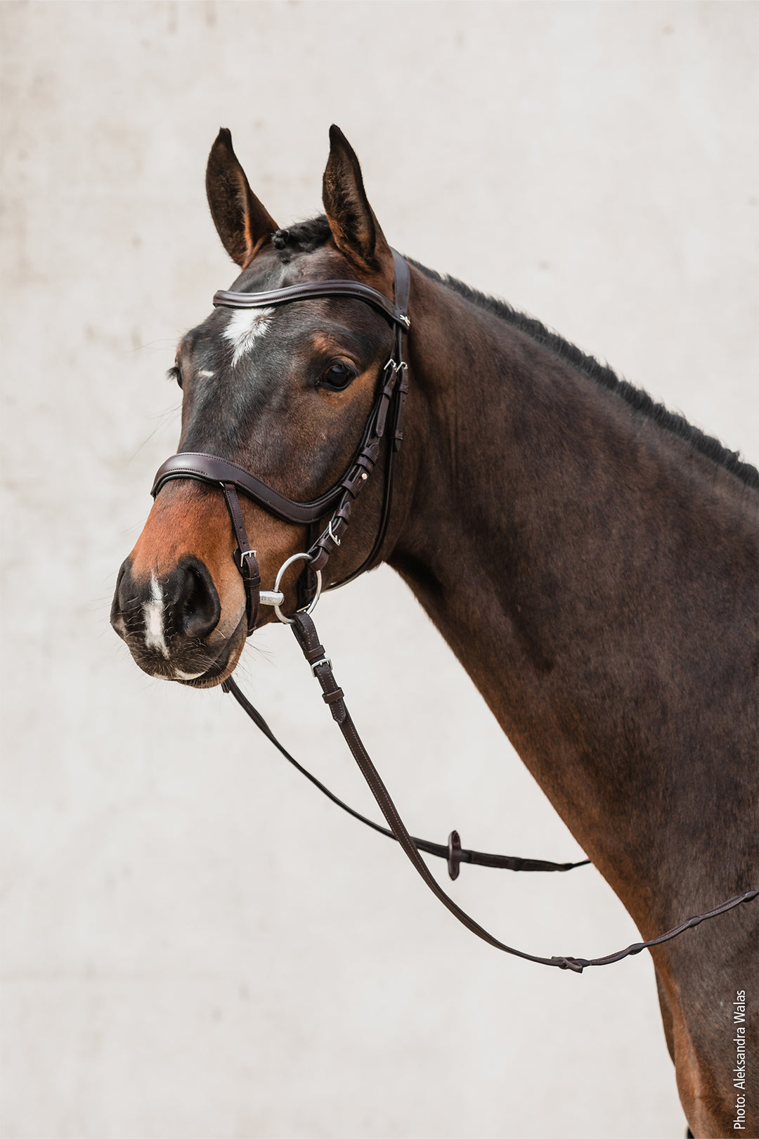 Schockemohle Equitus Alpha - Snaffle Bridle - Kingdom Equestrian