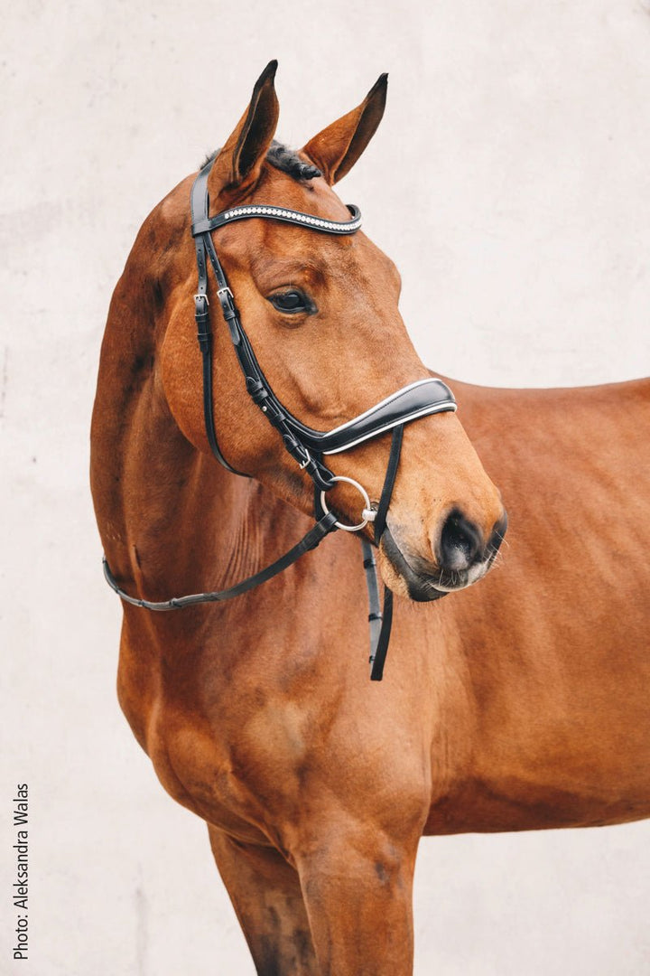 Schockemohle Equitus Beta - Snaffle Bridle - Kingdom Equestrian