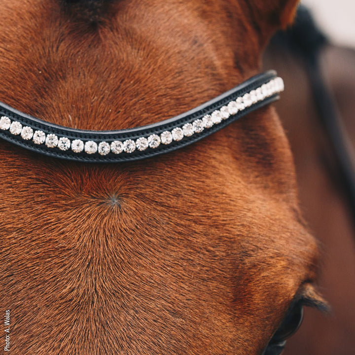 Schockemohle Equitus Beta - Snaffle Bridle - Kingdom Equestrian