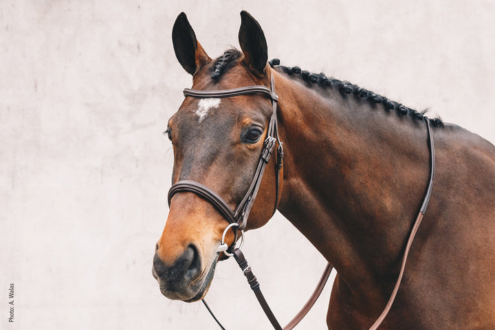 Schockemohle Tokyo Select - Snaffle Bridle - Kingdom Equestrian