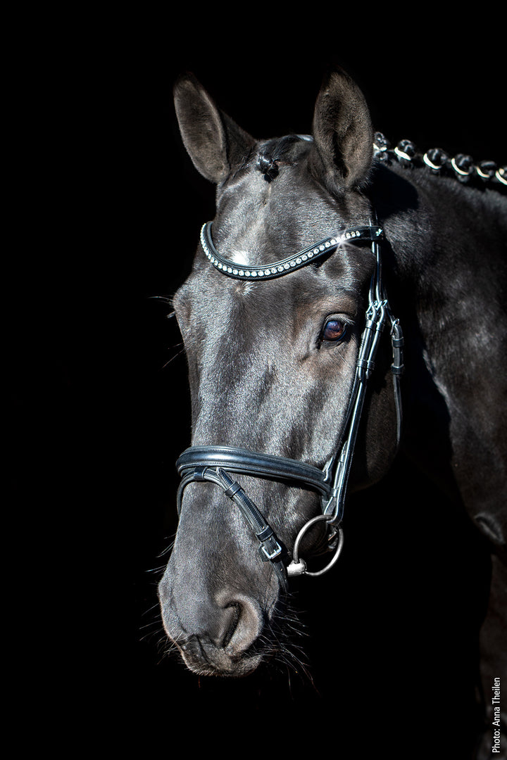 Schockemohle Rome Select - Snaffle Bridle - Kingdom Equestrian