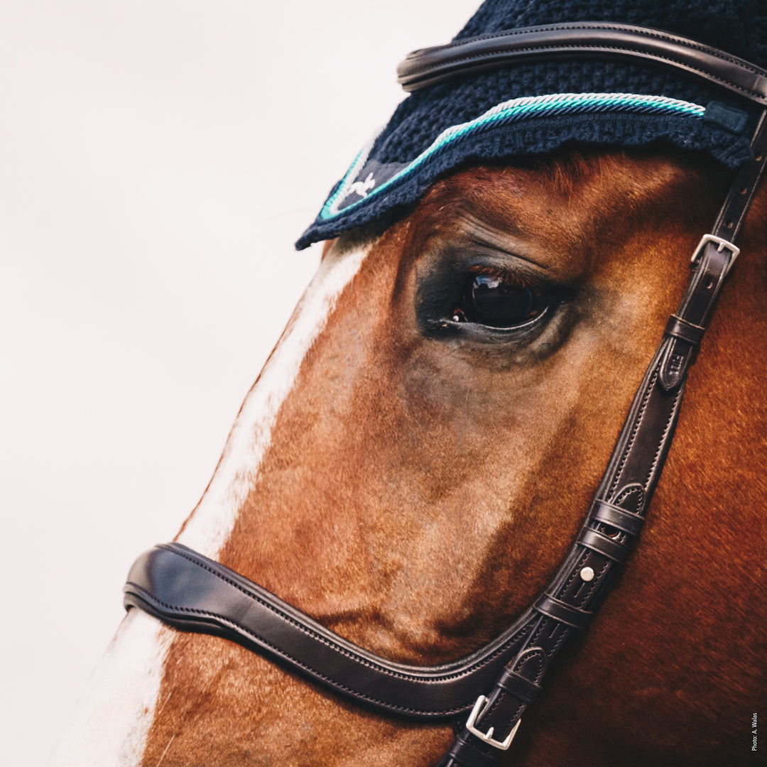 Schockemohle Equitus Delta - Snaffle Bridle - Kingdom Equestrian