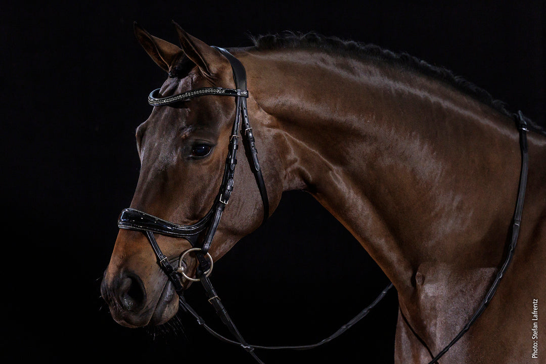 Schockemohle Equitus Beta Glam - Snaffle Bridle - Kingdom Equestrian
