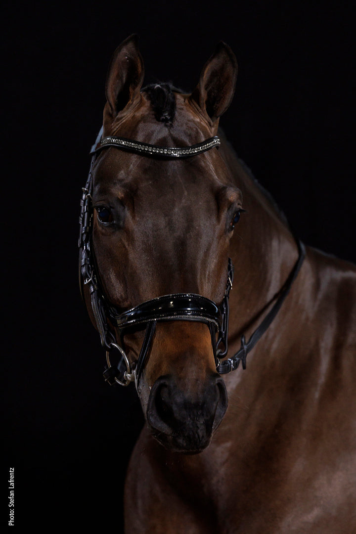 Schockemohle Equitus Beta Glam - Snaffle Bridle - Kingdom Equestrian