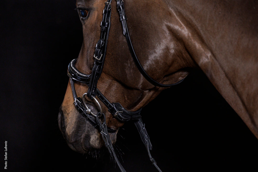 Schockemohle Equitus Beta Glam - Snaffle Bridle - Kingdom Equestrian