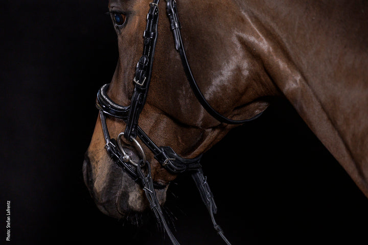 Schockemohle Equitus Beta Glam - Snaffle Bridle - Kingdom Equestrian