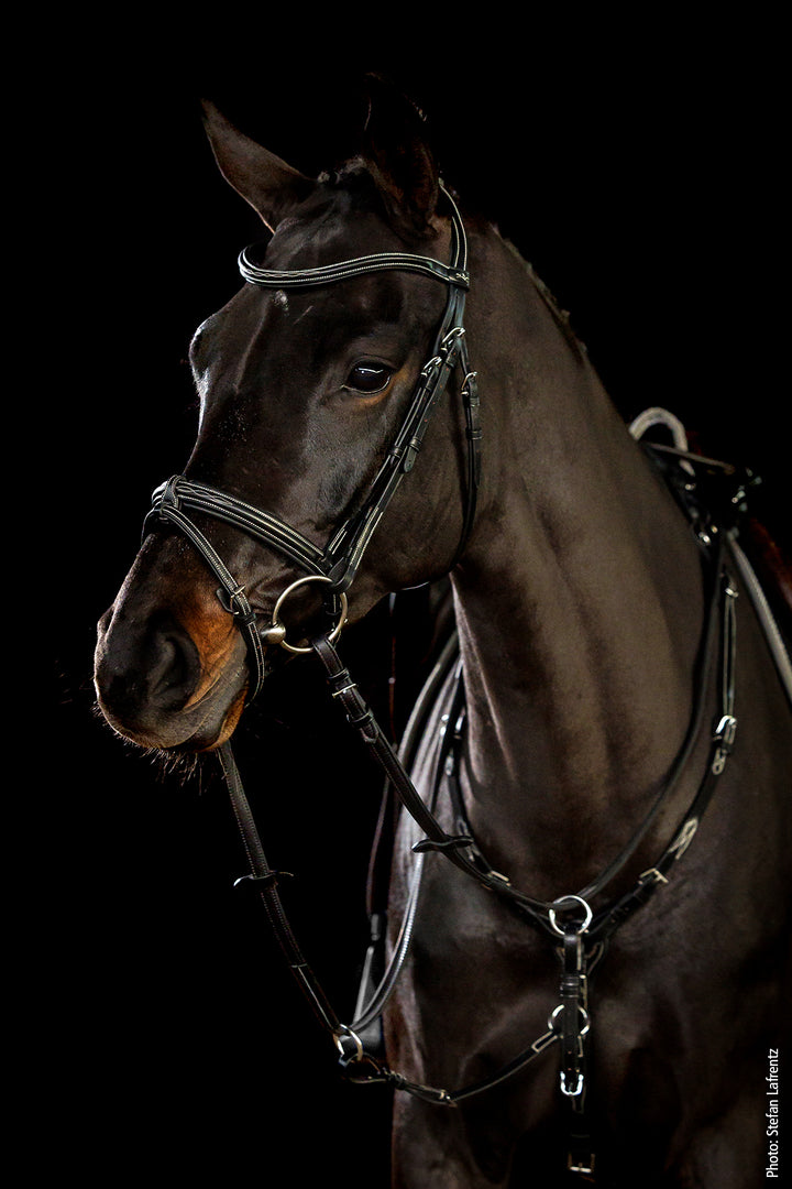 Schockemohle Tokyo F Select - Snaffle Bridle - Kingdom Equestrian