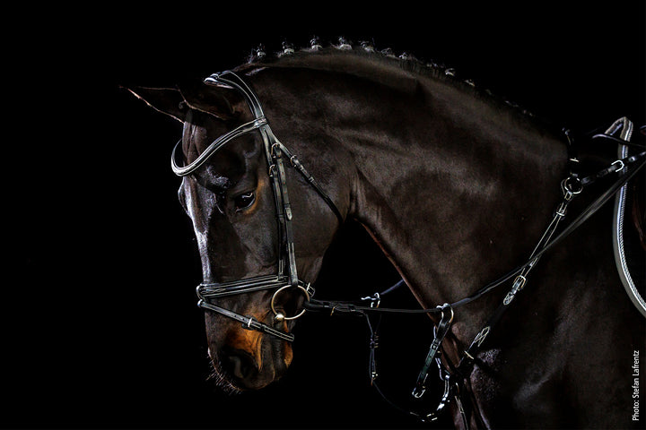 Schockemohle Tokyo F Select - Snaffle Bridle - Kingdom Equestrian