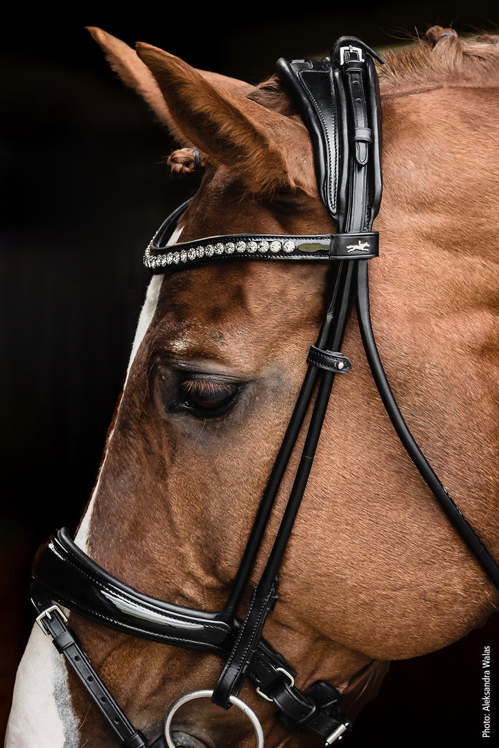 Shockemohle Westminster Snaffle Bridle - Snaffle Bridle - Kingdom Equestrian
