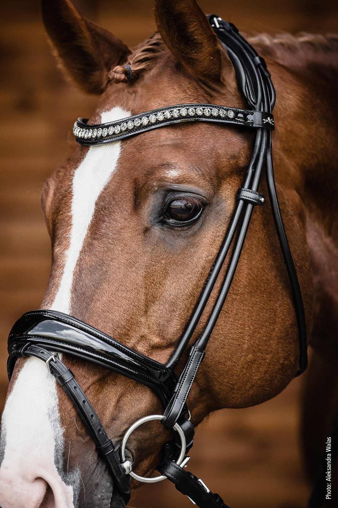 Shockemohle Westminster Snaffle Bridle - Snaffle Bridle - Kingdom Equestrian