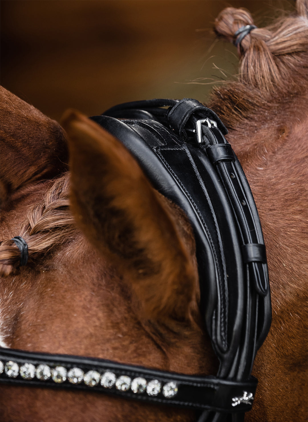 Shockemohle Westminster Snaffle Bridle - Snaffle Bridle - Kingdom Equestrian