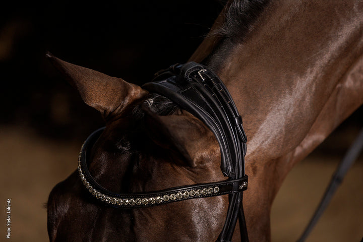 Shockemohle Westminster Snaffle Bridle - Snaffle Bridle - Kingdom Equestrian