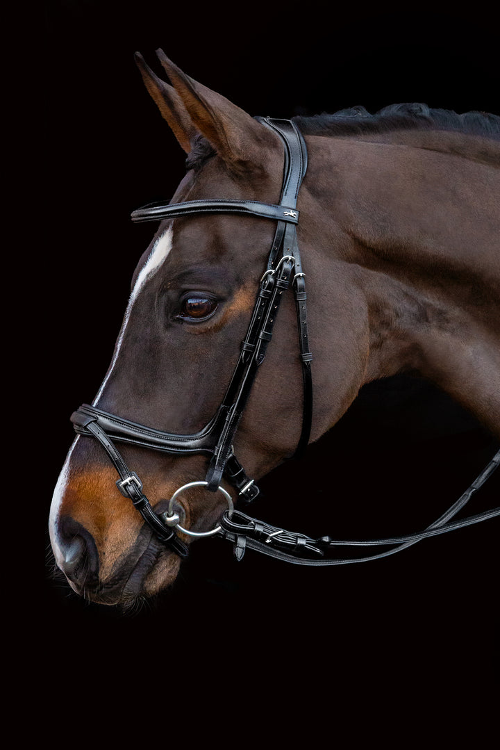 Schockemohle Ancona Select Snaffle Bridle - Snaffle Bridle - Kingdom Equestrian