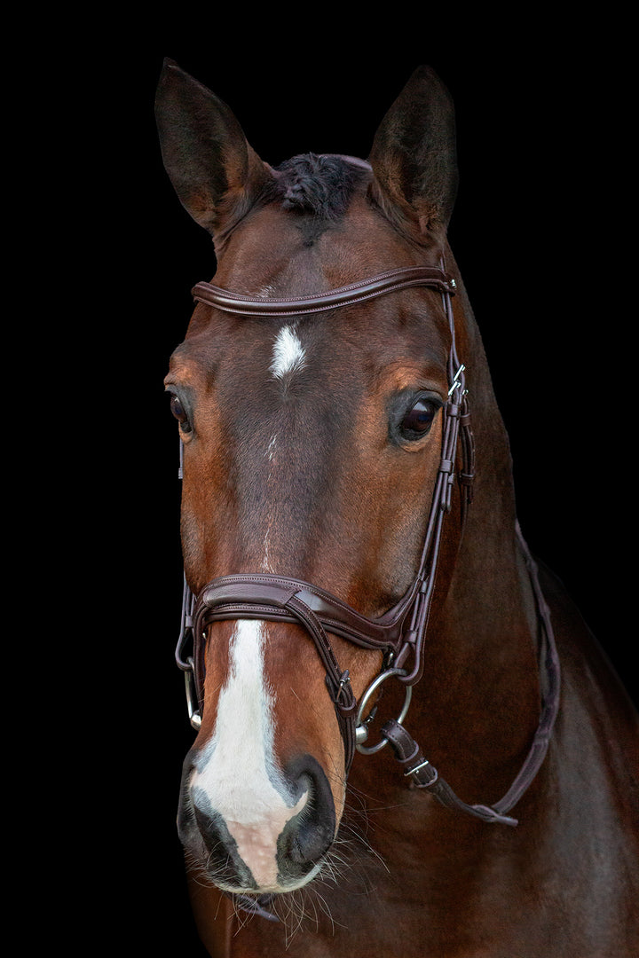 Schockemohle Ancona Select Snaffle Bridle - Snaffle Bridle - Kingdom Equestrian