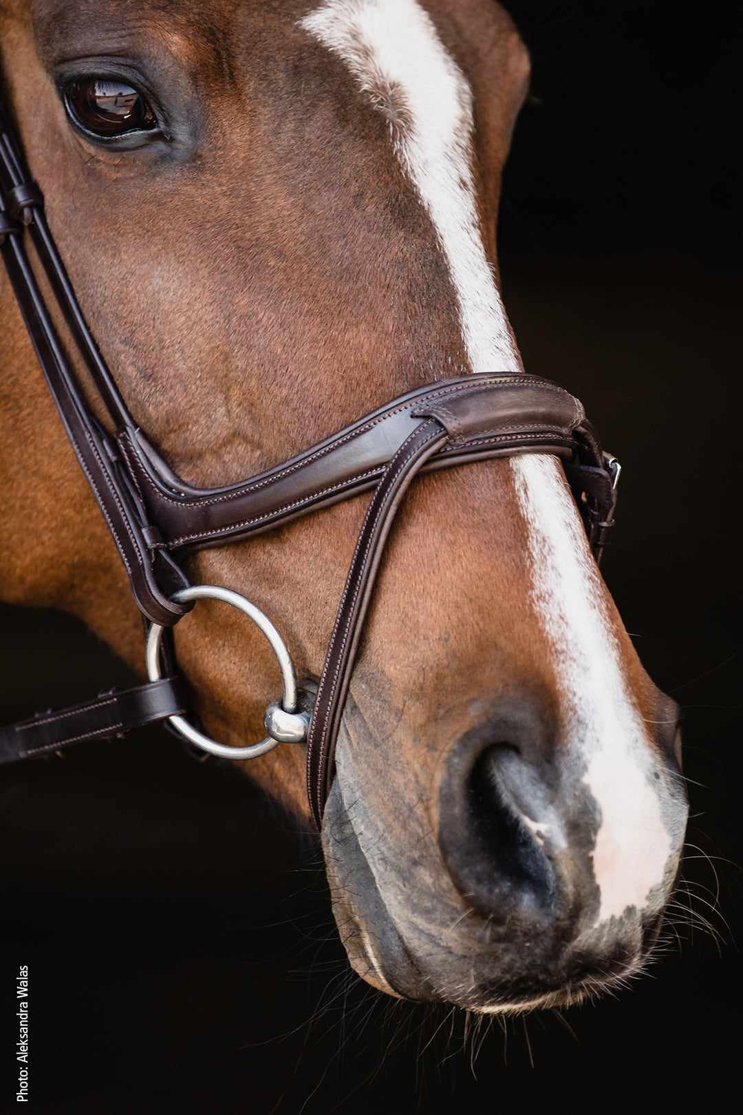 Schockemohle Ancona Select Snaffle Bridle - Snaffle Bridle - Kingdom Equestrian