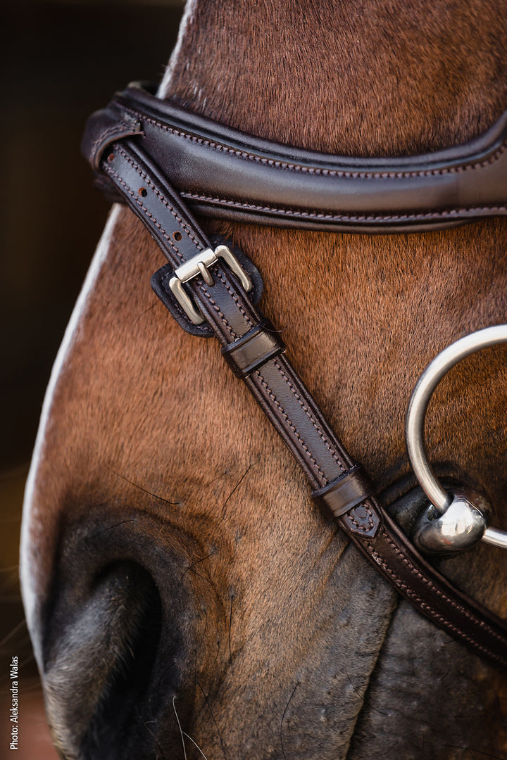 Schockemohle Ancona Select Snaffle Bridle - Snaffle Bridle - Kingdom Equestrian