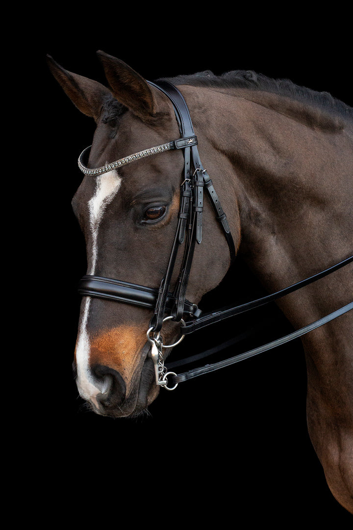 Schockemohle Brindisi Double Bridle - Snaffle Bridle - Kingdom Equestrian