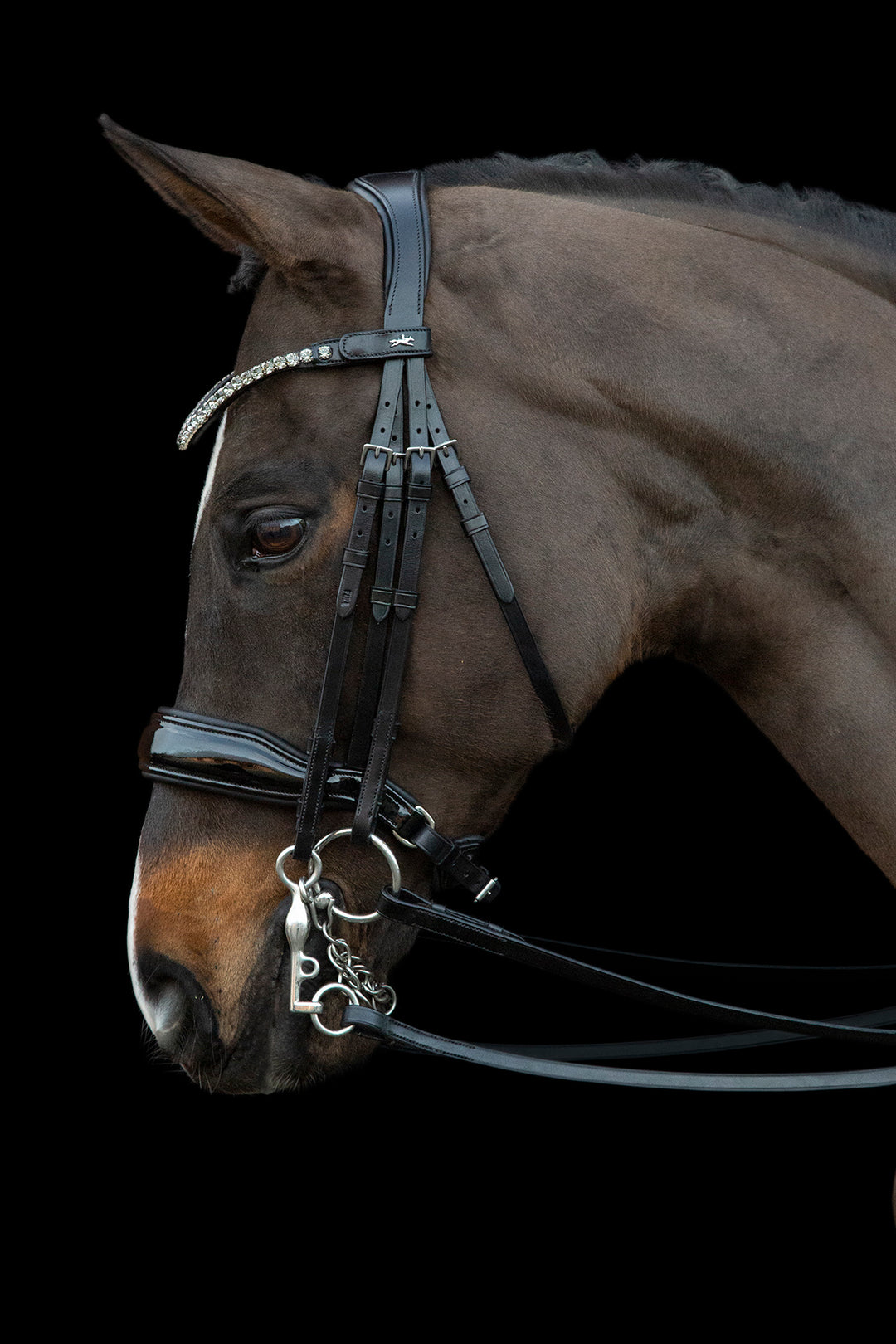 Shockemohle Milazzo Double Bridle - Double Bridle - Kingdom Equestrian