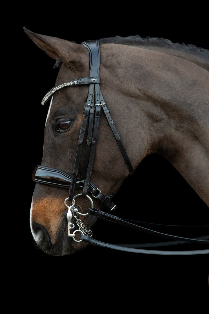 Shockemohle Milazzo Double Bridle - Double Bridle - Kingdom Equestrian