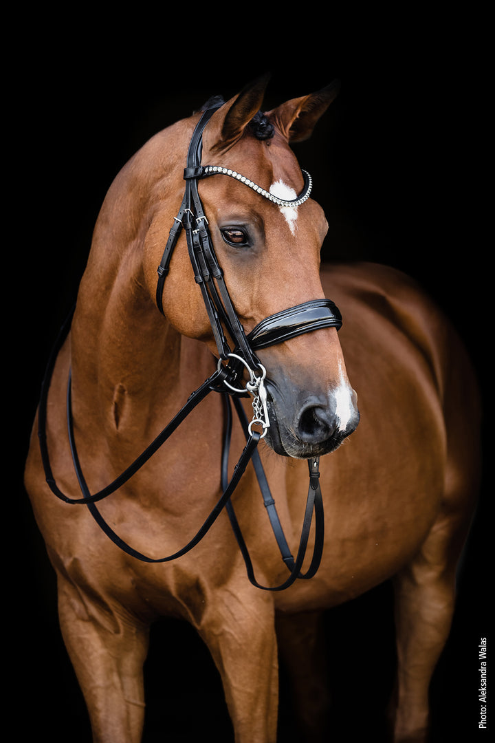 Shockemohle Milazzo Double Bridle - Double Bridle - Kingdom Equestrian