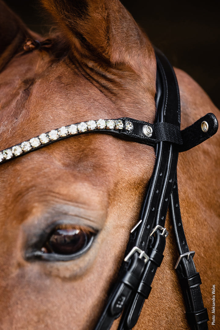 Shockemohle Milazzo Double Bridle - Double Bridle - Kingdom Equestrian