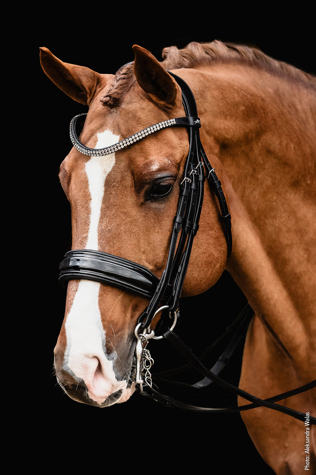 Shockemohle Monticelli Double Bridle - Double Bridle - Kingdom Equestrian