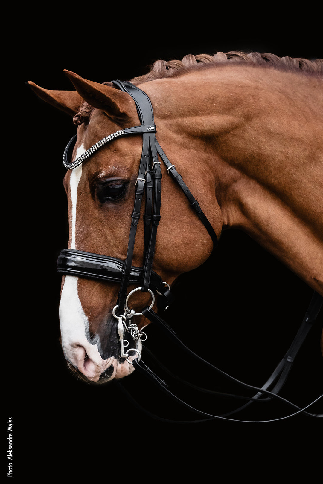 Shockemohle Monticelli Double Bridle - Double Bridle - Kingdom Equestrian