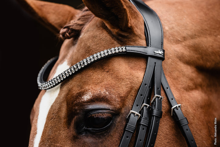 Shockemohle Monticelli Double Bridle - Double Bridle - Kingdom Equestrian
