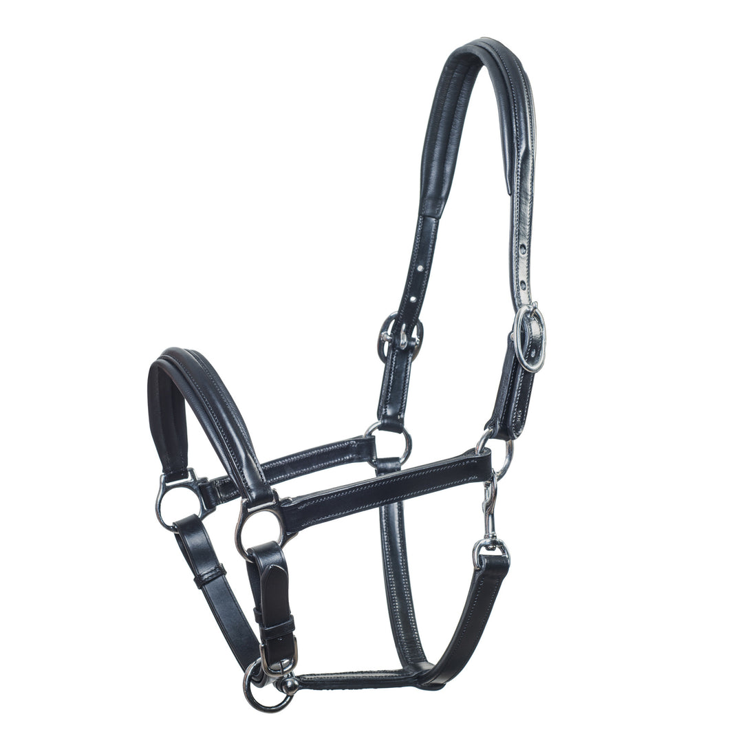 Schockemohle Ulm Pro Leather Headcollar/Halter - Headcollar - Kingdom Equestrian