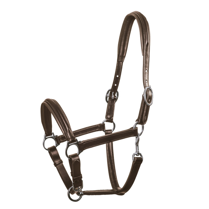 Schockemohle Ulm Pro Leather Headcollar/Halter - Headcollar - Kingdom Equestrian