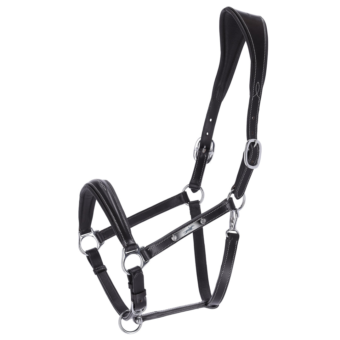 Schockemohle Frisco Leather Headcollar - Headcollar - Kingdom Equestrian