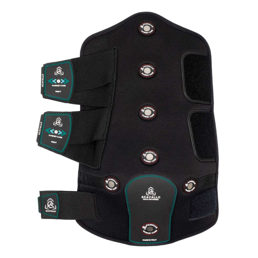 Acavallo Magnet Care Hind Boots - Black/Red