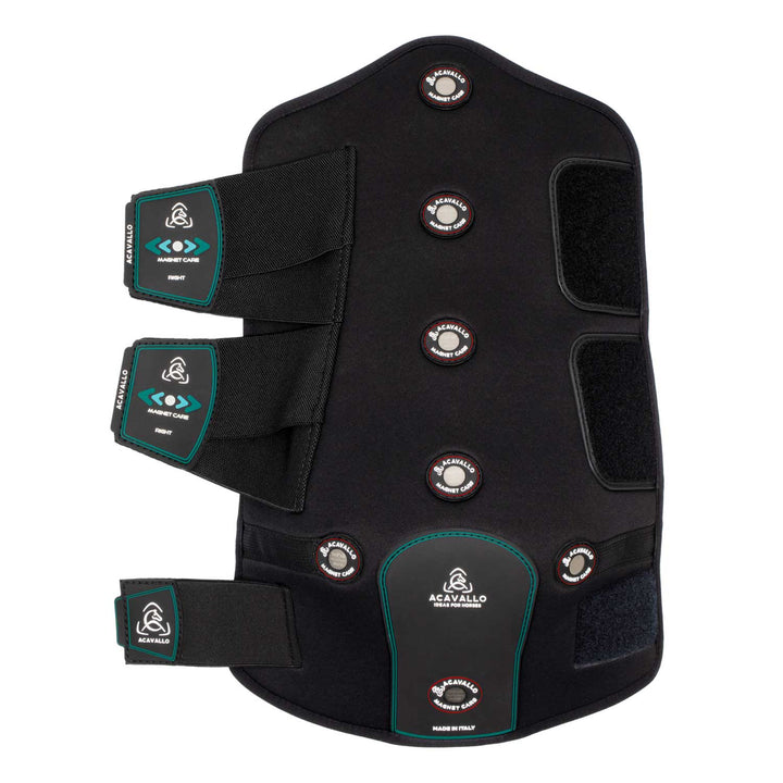 Acavallo Magnet Care Hind Boots - Black/Red