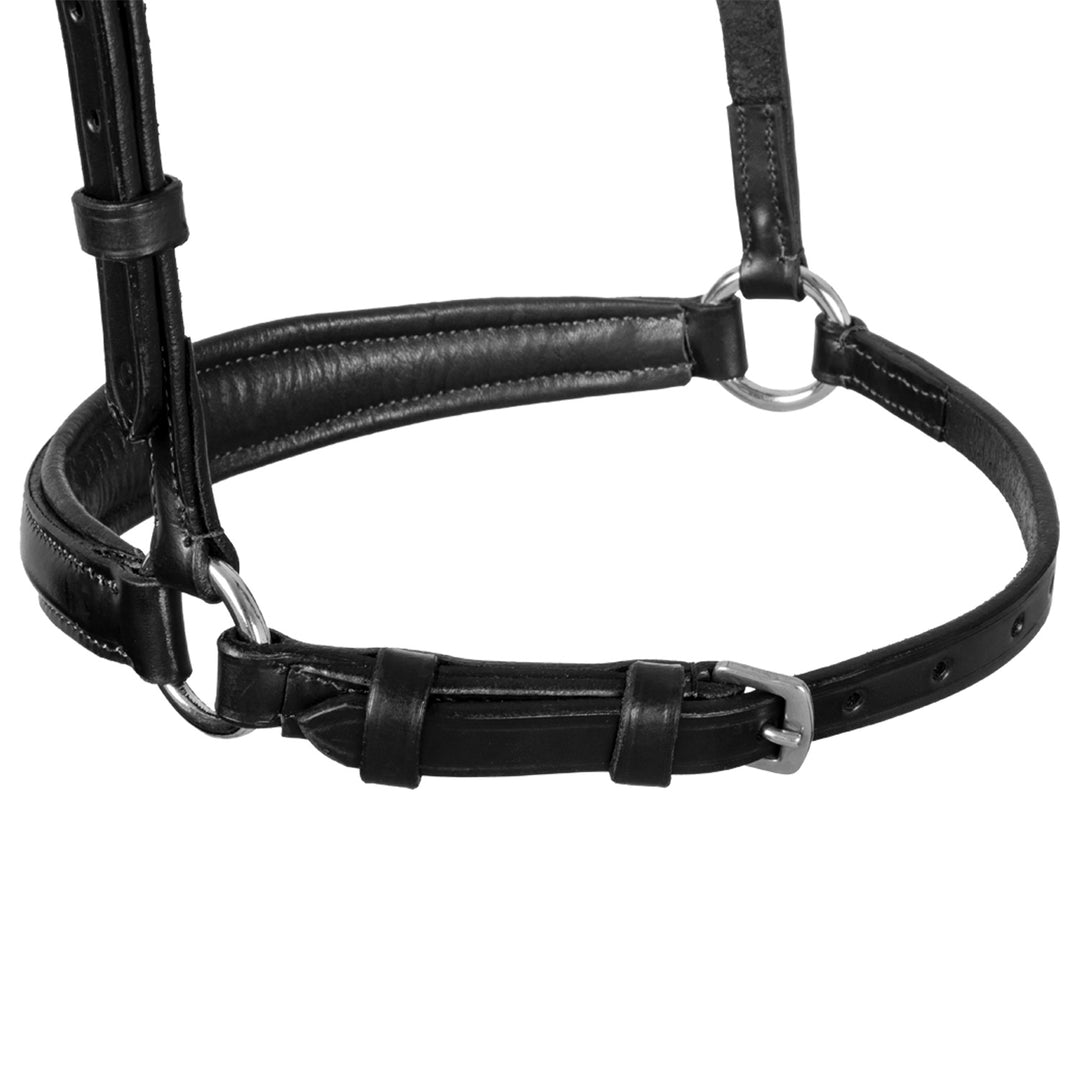 Equestro Leather German Style Noseband Bridle - Dark Brown