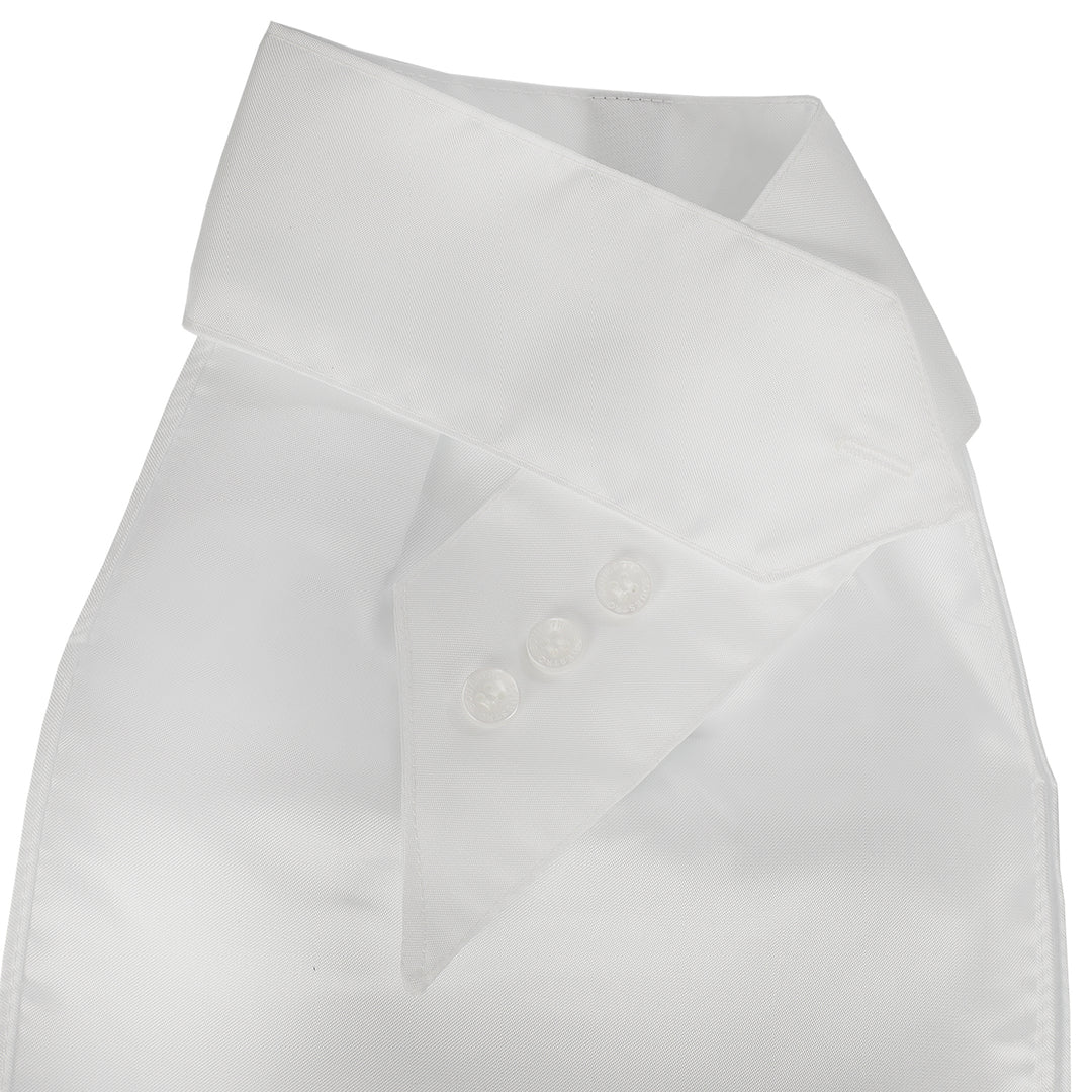 Equestro Competition Plastron with Embroidered Logo - White