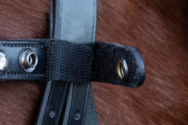 Schockemohle Malaga Dressage Snaffle Bridle - Snaffle Bridle - Kingdom Equestrian