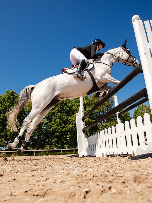 Equestrian Stockholm Anatomic Fetlock Boots Black Edition - Fetlock Boots - Kingdom Equestrian