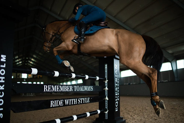 Equestrian Stockholm Anatomic Fetlock Boots Blue Meadow - Fetlock Boots - Kingdom Equestrian