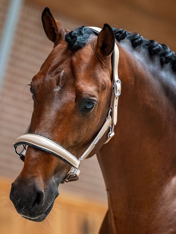 Equestrian Stockholm Anatomic Glimmer Leather Halter Sand - Halter - Kingdom Equestrian