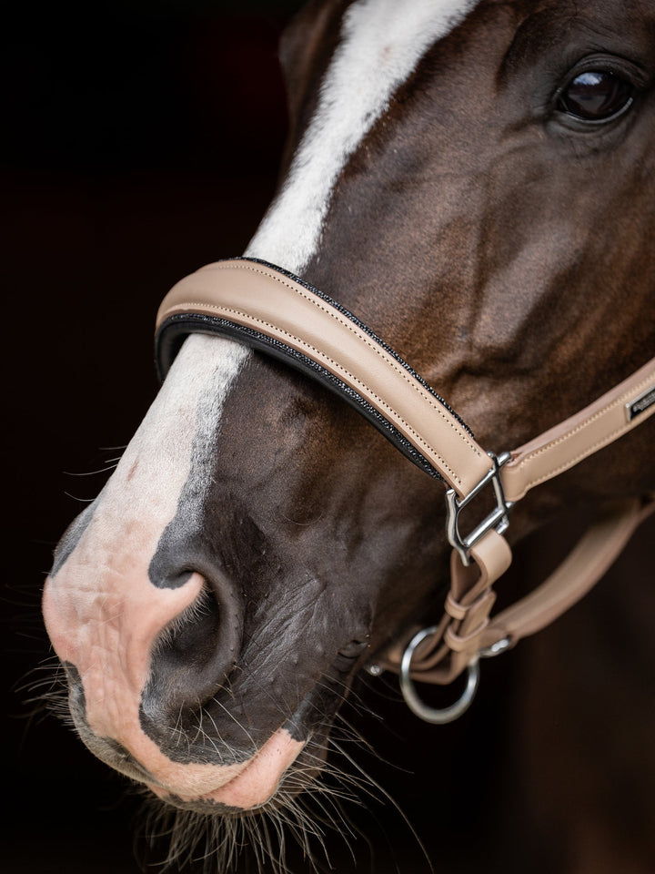 Equestrian Stockholm Anatomic Glimmer Leather Halter Sand - Halter - Kingdom Equestrian
