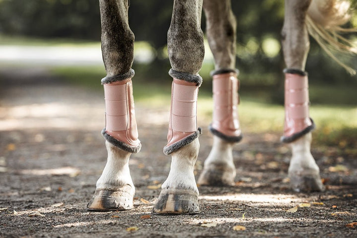 Equestrian Stockholm Brushing Boots Pink - Brushing Boots - Kingdom Equestrian