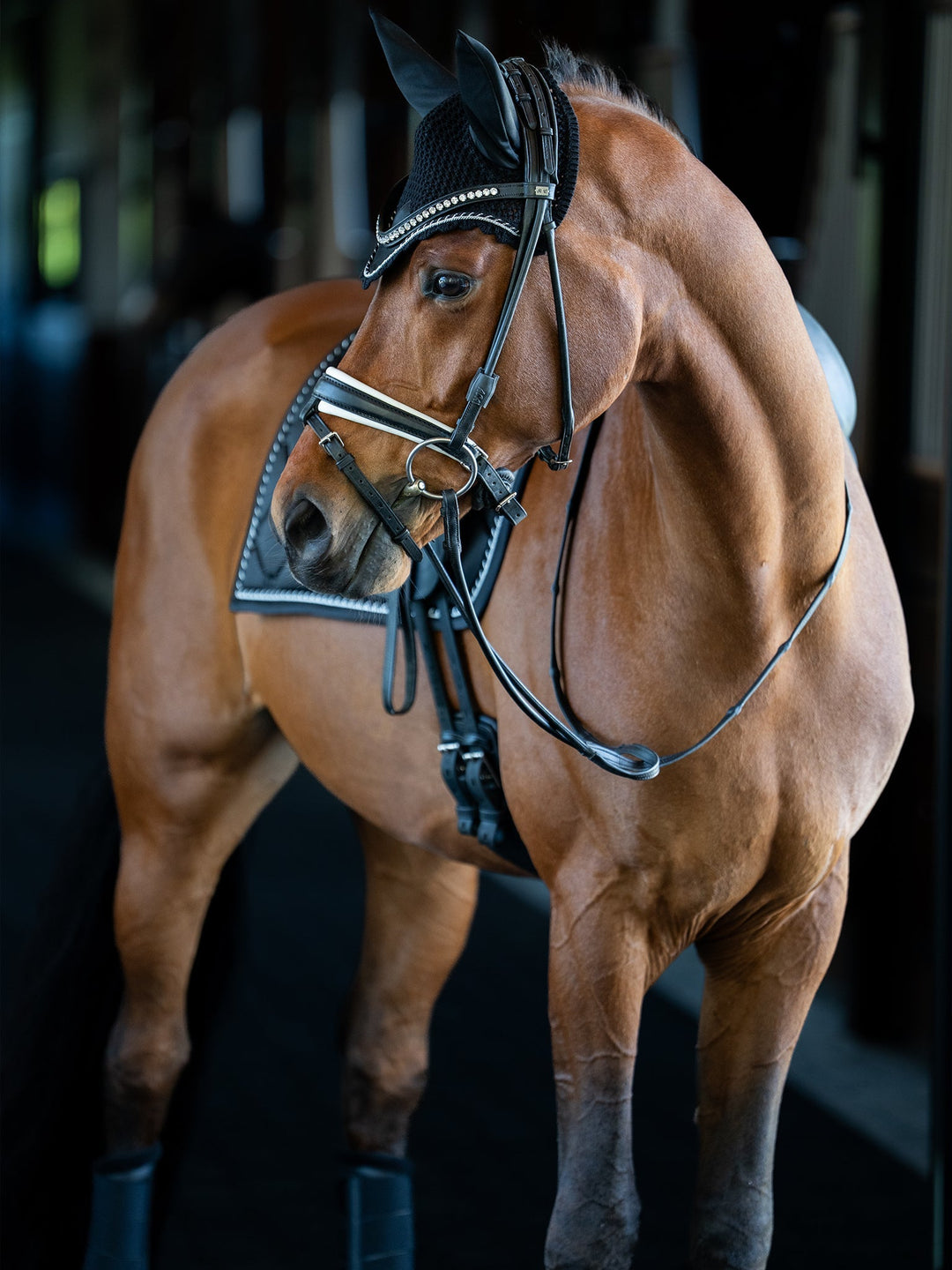 Equestrian Stockholm Dressage Saddle Pad Black Edition - Dressage Saddle Pad - Kingdom Equestrian