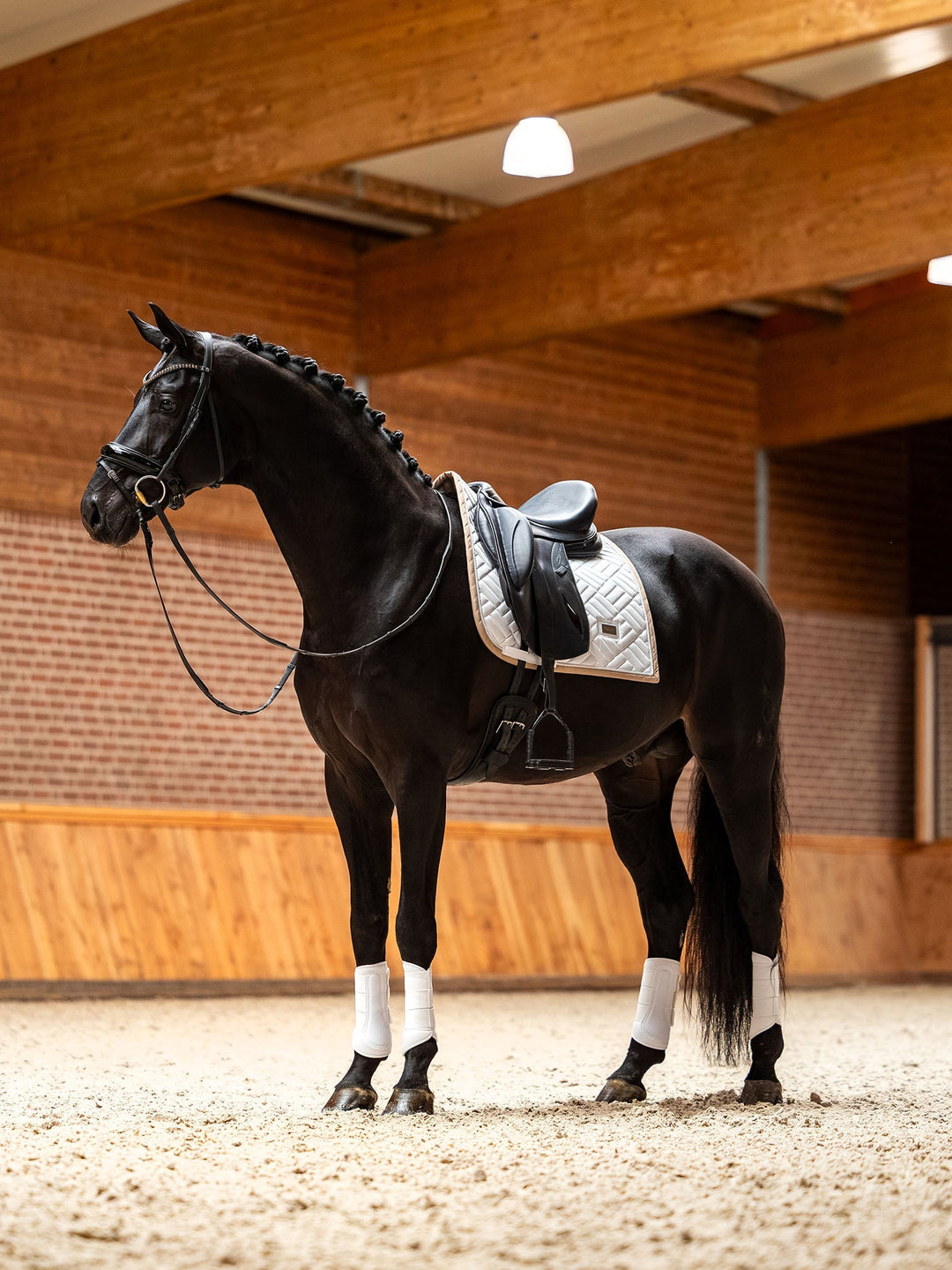 Equestrian Stockholm Dressage Saddle Pad Modern White Sand - Dressage Saddle Pad - Kingdom Equestrian