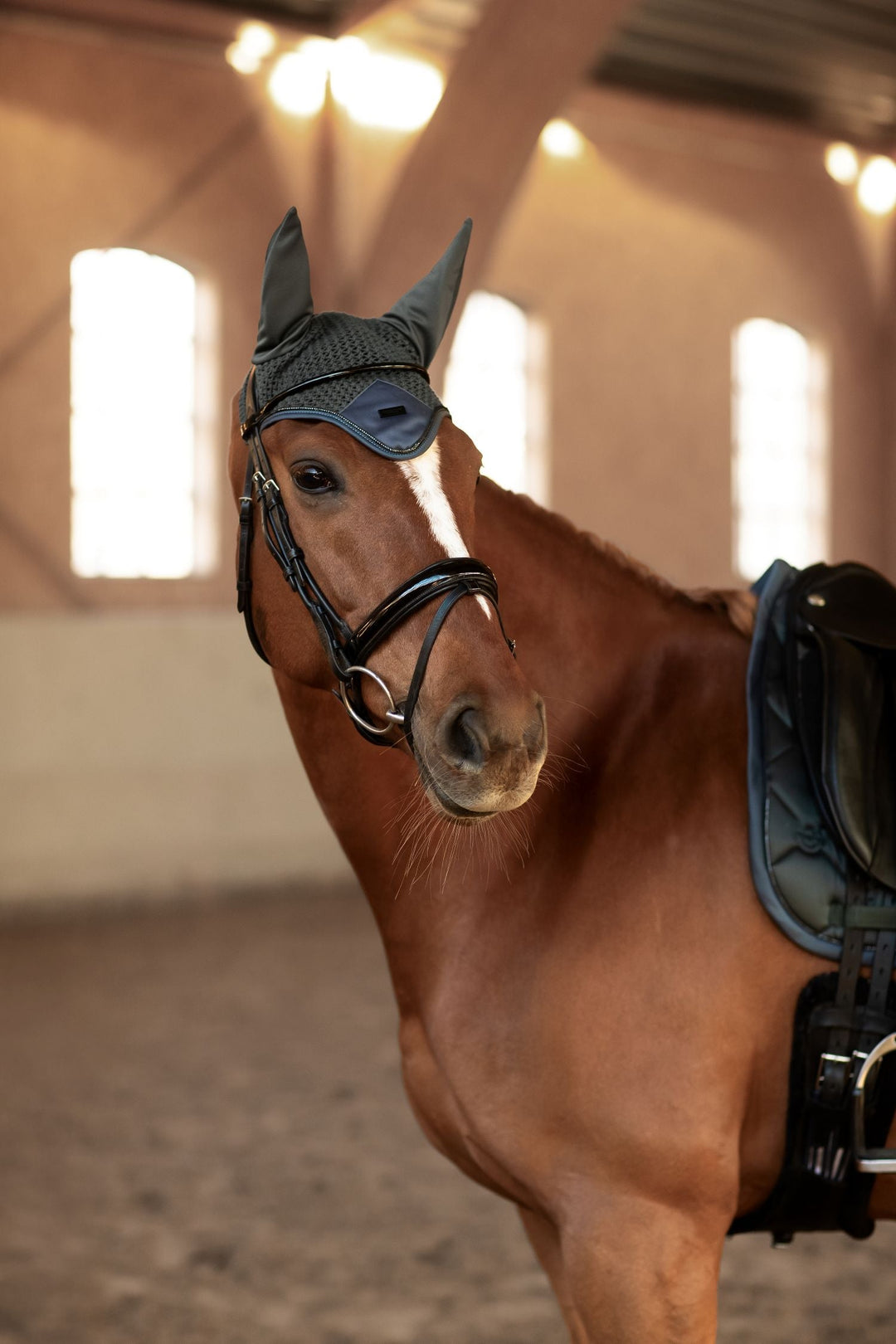 Equestrian Stockholm Fly Hood - Avenue Green - Fly Hood - Kingdom Equestrian