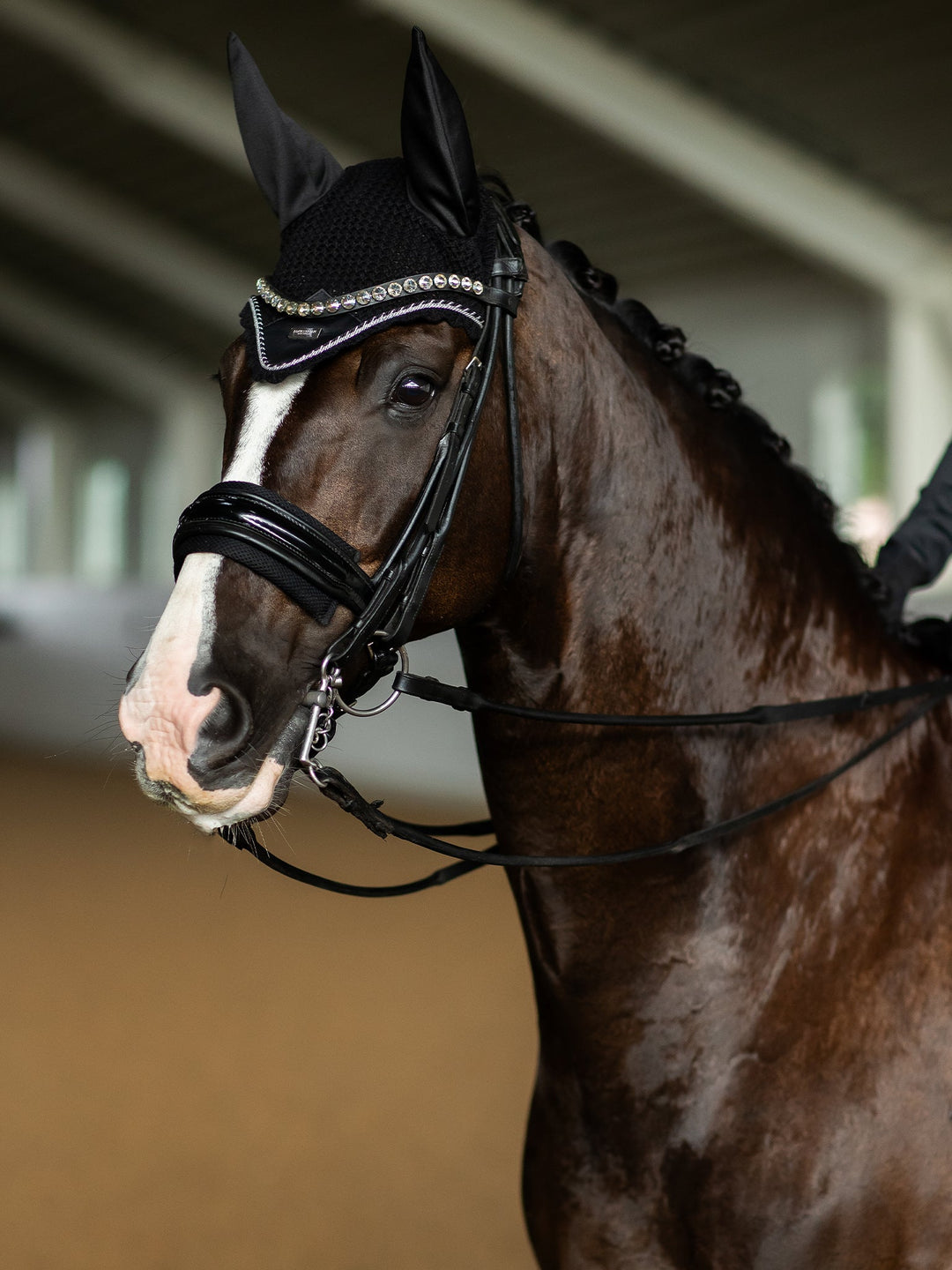 Equestrian Stockholm Fly Hood Black Edition - Ear Bonnet - Kingdom Equestrian