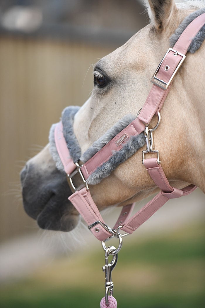 Equestrian Stockholm Fur Halter &amp; Lead Rope Pink - Halter - Kingdom Equestrian