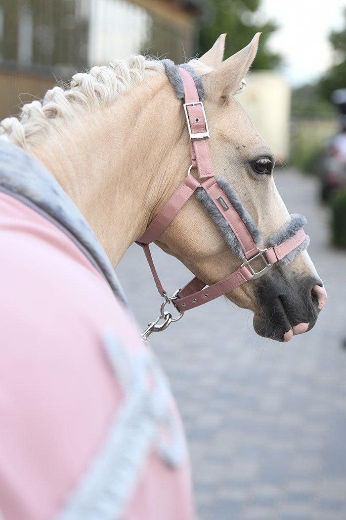 Equestrian Stockholm Fur Halter &amp; Lead Rope Pink - Halter - Kingdom Equestrian