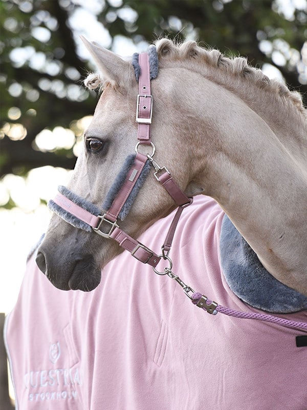 Equestrian Stockholm Fur Halter &amp; Lead Rope Pink - Halter - Kingdom Equestrian