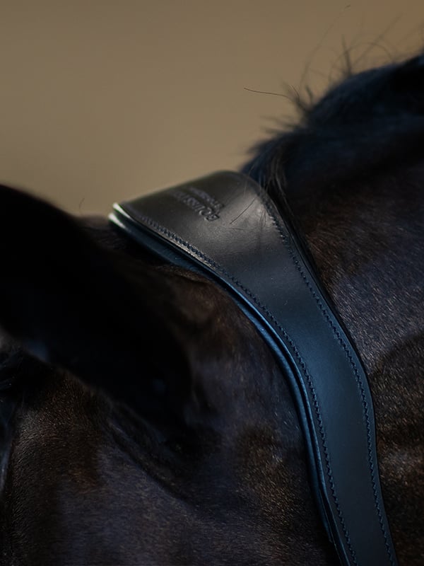 Equestrian Stockholm Glimmer Anatomic Leather Halter Black Edition - Halter - Kingdom Equestrian